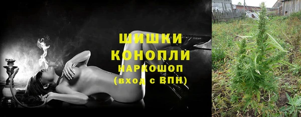 трава Билибино