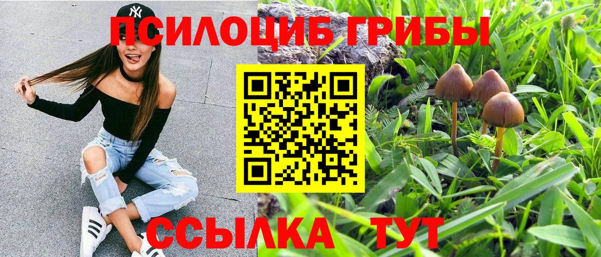 Галлюциногенные грибы Psilocybe  Вход с VPN  Магнитогорск 